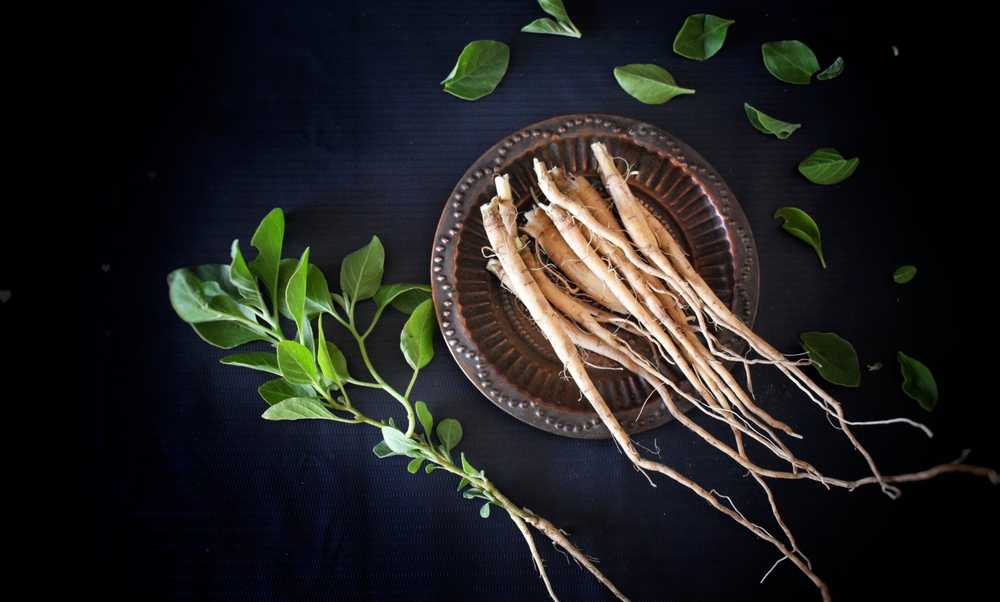 Ashwagandha: The Marvelous Nature's Gift to Wellness
